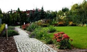 Ogród w Poznaniu, w zabudowie szeregowej