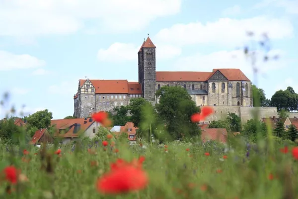 ogrody-swiata-Quedlinburg-20