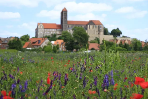 ogrody-swiata-Quedlinburg-21