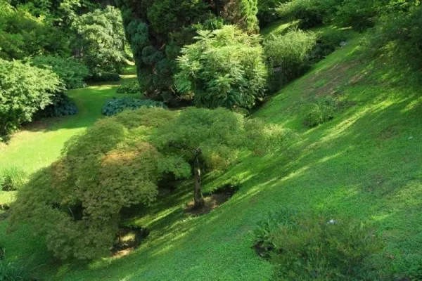 ogrody-swiata-giardini-botanici-villa-taranto-galeria-6